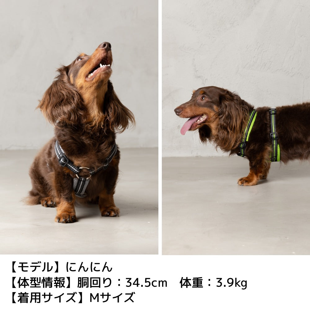 スポーティーハーネス S/M/L Solgra-ソルグラ- 小型犬用 ハーネス SO23AW so239293-1