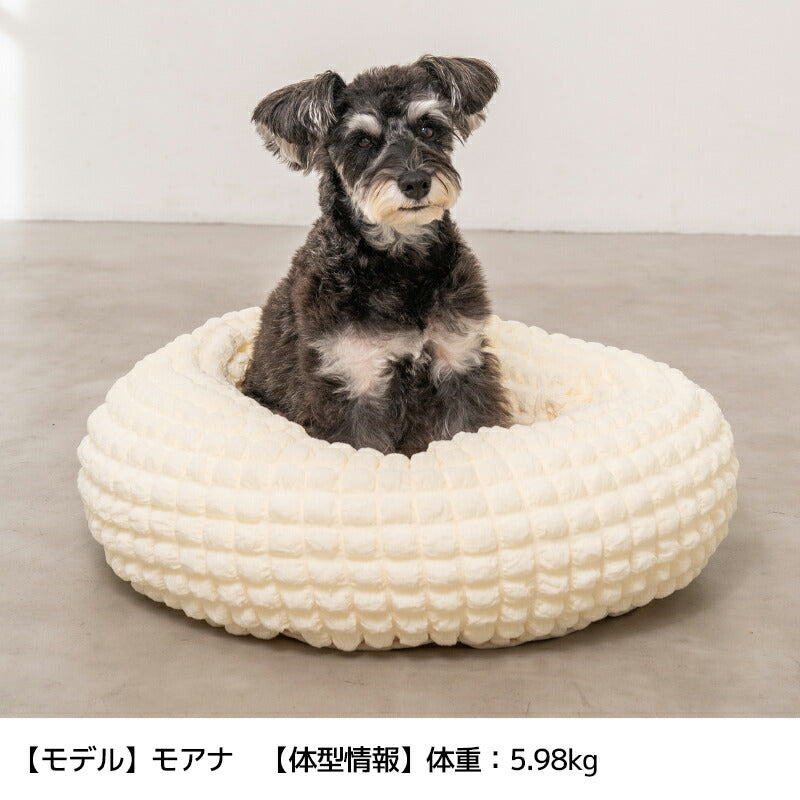 ぽこぽこラウンドベッド Free Solgra-ソルグラ- 犬用ベッド SO24SS so247316-1