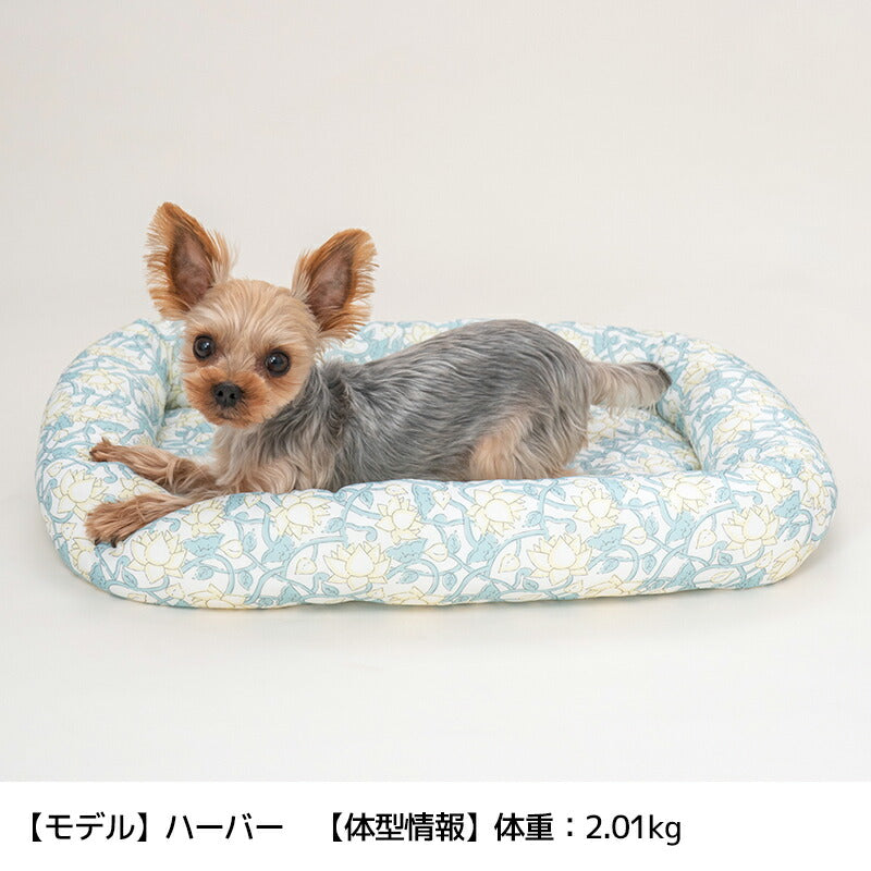 クールスクエアベッド Free Solgra-ソルグラ- 犬用ベッド SO24SS so247321-1