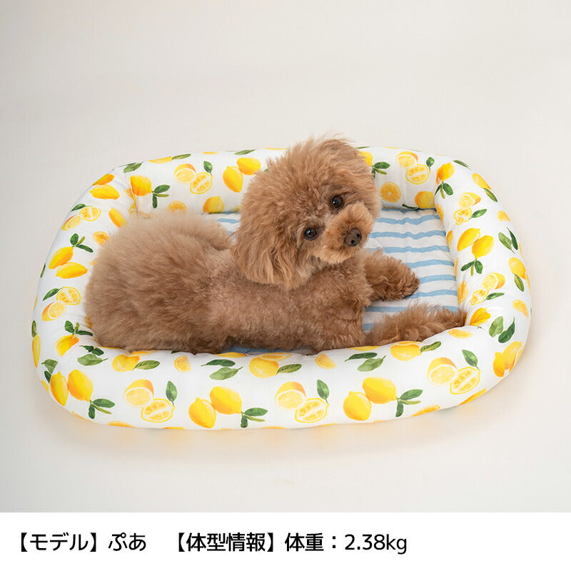 クールスクエアベッド Free Solgra-ソルグラ- 犬用ベッド SO24SS so247321-1
