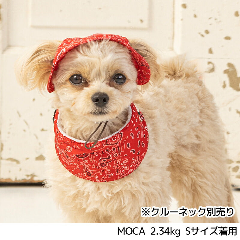 帽子 S/M/L Solgra-ソルグラ- 犬用 SO24SS so242347-1