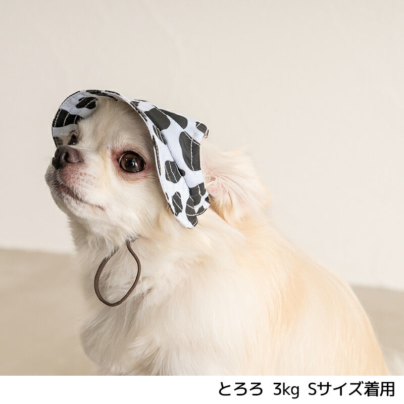 帽子 S/M/L Solgra-ソルグラ- 犬用 SO24SS so242347-1