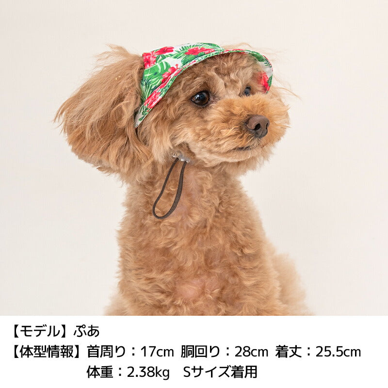 帽子 S/M/L Solgra-ソルグラ- 犬用 SO24SS so242347-1