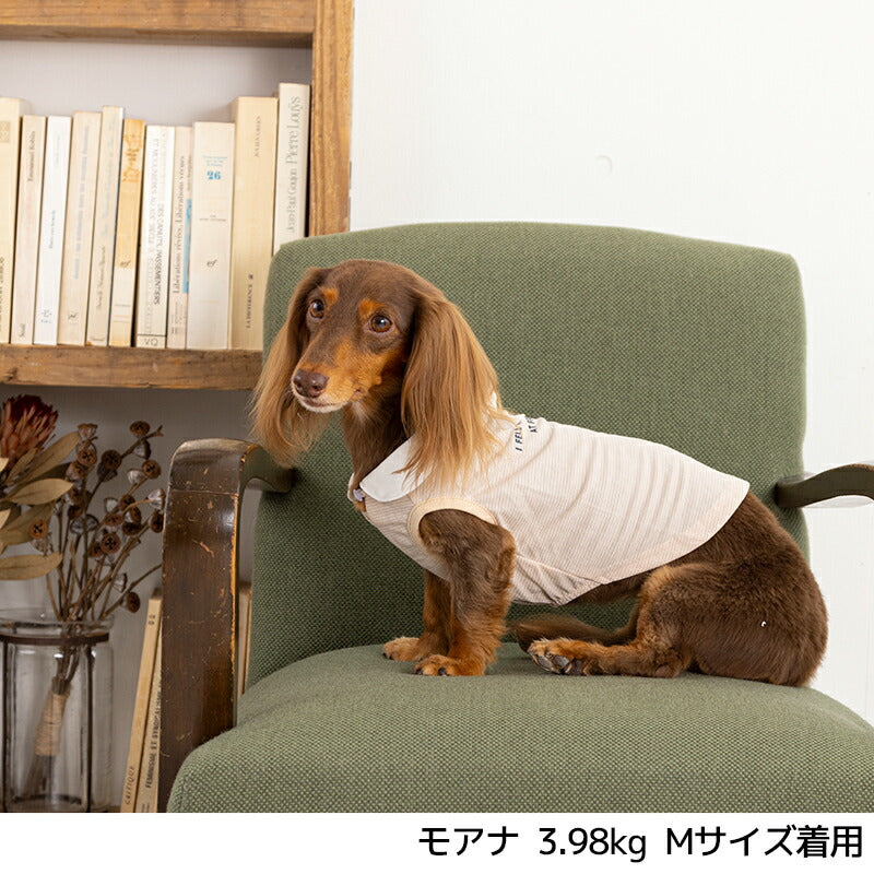 結び襟ボーダータンク XS/S/M/L/XL/XXL TINOTITO -ティノティート- 犬服 ドッグウェア TT24SS tt241336-1
