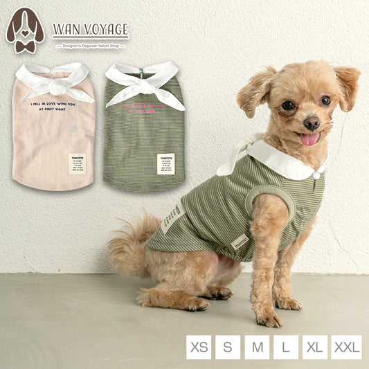結び襟ボーダータンク XS/S/M/L/XL/XXL TINOTITO -ティノティート- 犬服 ドッグウェア TT24SS tt241336-1
