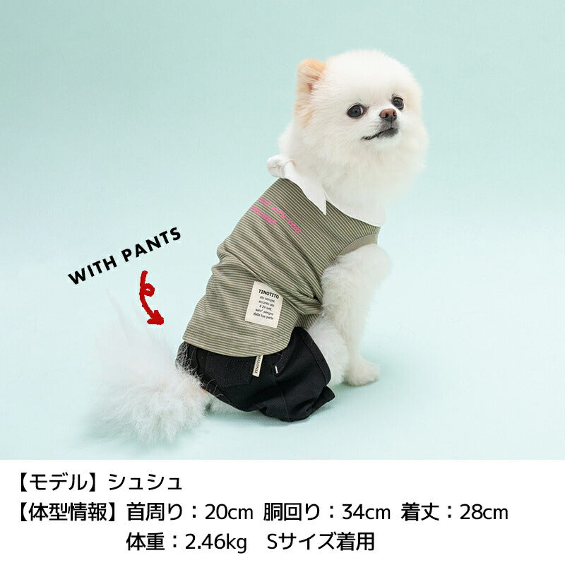 結び襟ボーダータンク XS/S/M/L/XL/XXL TINOTITO -ティノティート- 犬服 ドッグウェア TT24SS tt241336-1