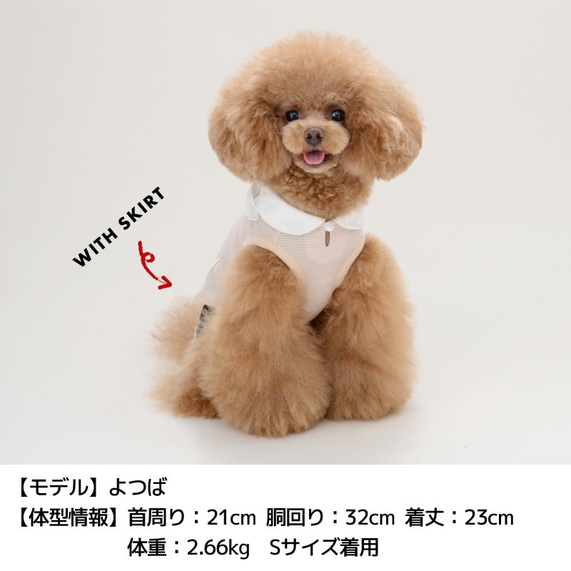 結び襟ボーダータンク XS/S/M/L/XL/XXL TINOTITO -ティノティート- 犬服 ドッグウェア TT24SS tt241336-1