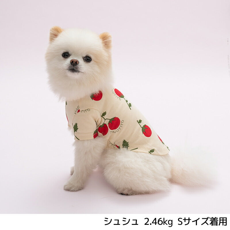 プリント柄Tシャツ XS/S/M/L/XL/XXL TINOTITO -ティノティート- 犬服 ドッグウェア TT24SS tt241337-1