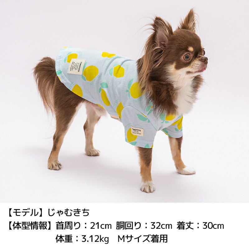 プリント柄Tシャツ XS/S/M/L/XL/XXL TINOTITO -ティノティート- 犬服 ドッグウェア TT24SS tt241337-1