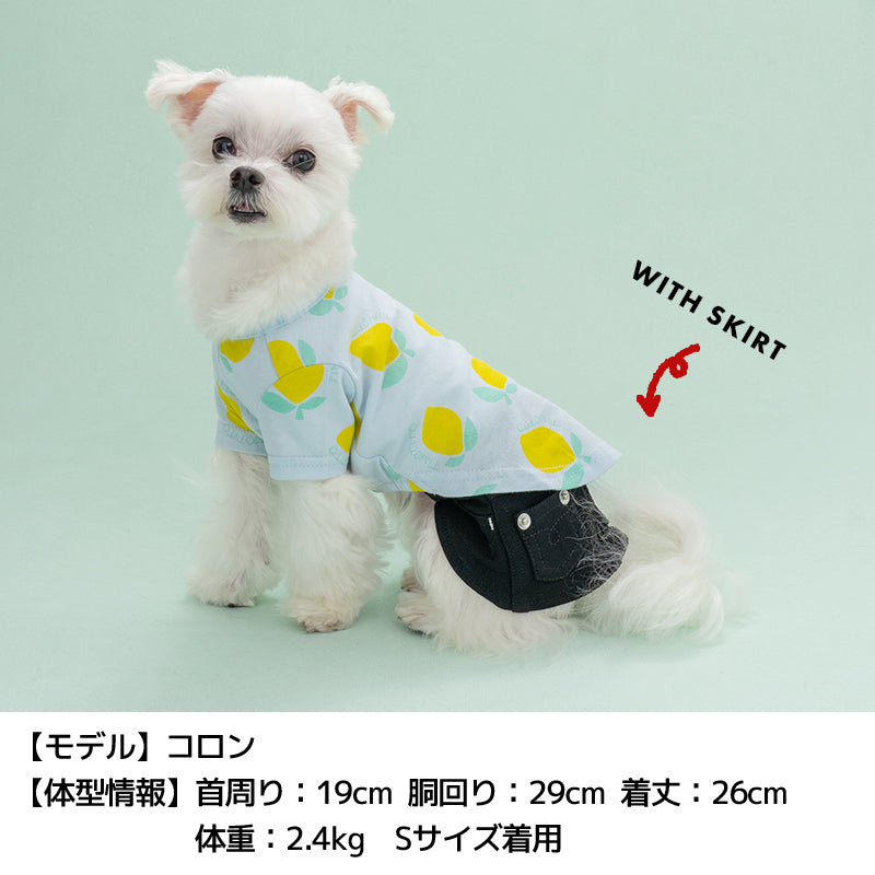 プリント柄Tシャツ XS/S/M/L/XL/XXL TINOTITO -ティノティート- 犬服 ドッグウェア TT24SS tt241337-1