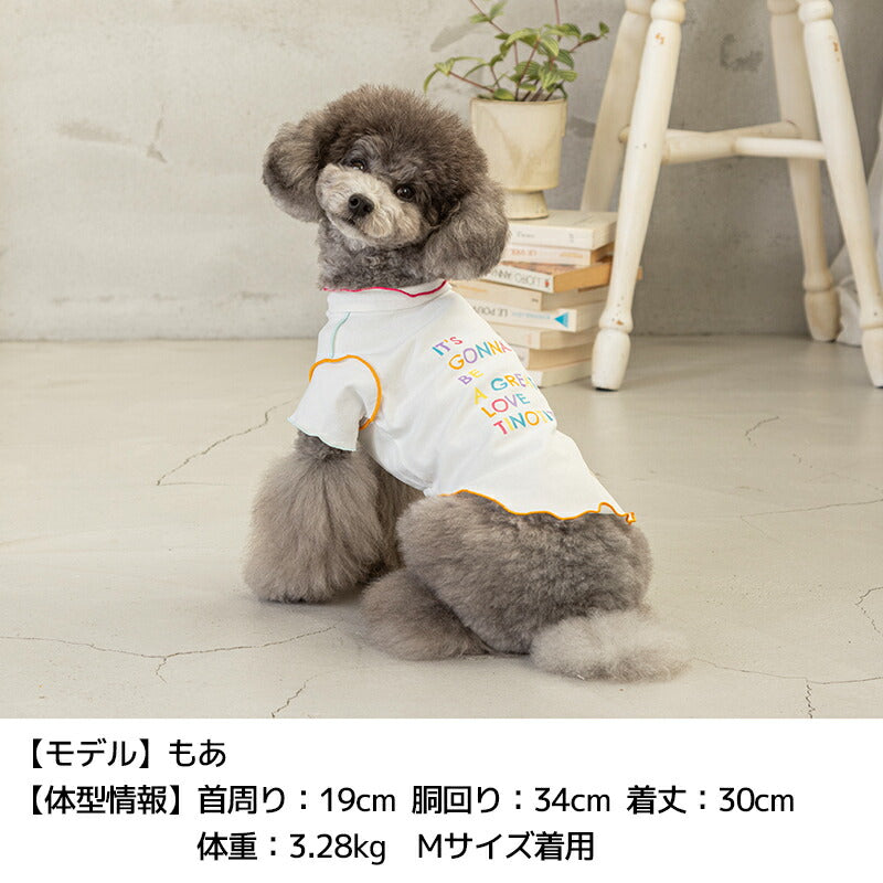 カラフルメローTシャツ XS/S/M/L/XL/XXL TINOTITO -ティノティート- 犬服 ドッグウェア TT24SS tt241338-1