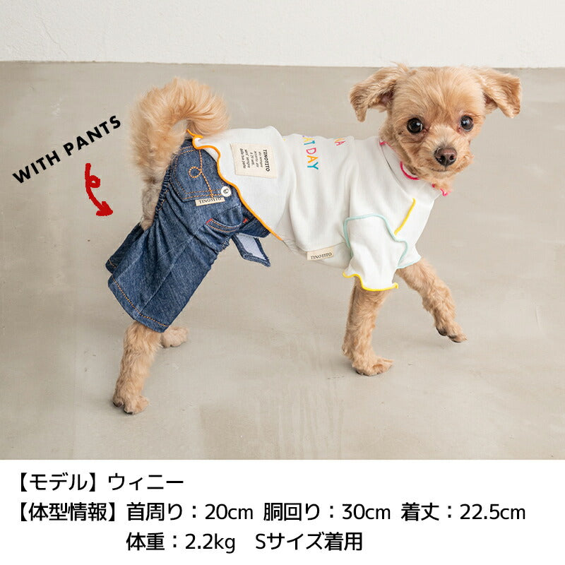 カラフルメローTシャツ XS/S/M/L/XL/XXL TINOTITO -ティノティート- 犬服 ドッグウェア TT24SS tt241338-1