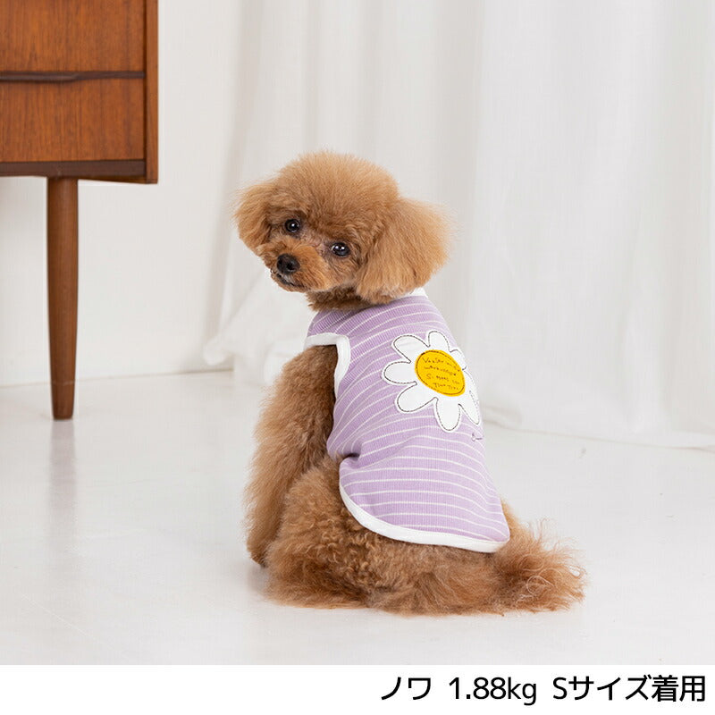 アップリケボーダータンク XS/S/M/L/XL/XXL TINOTITO -ティノティート- 犬服 ドッグウェア TT24SS tt241349-1