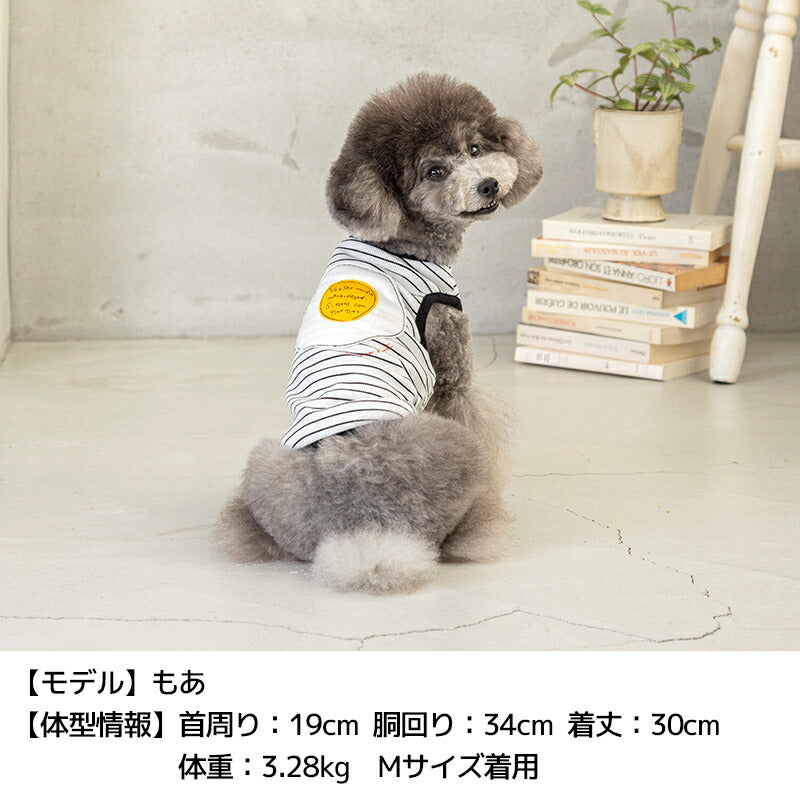 アップリケボーダータンク XS/S/M/L/XL/XXL TINOTITO -ティノティート- 犬服 ドッグウェア TT24SS tt241349-1
