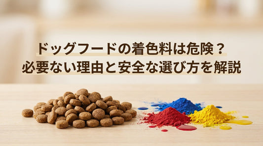 ドッグフードの着色料は危険？必要ない理由と安全な選び方を解説