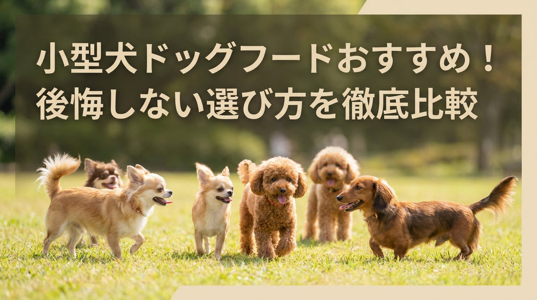 小型犬ドッグフードおすすめ！後悔しない選び方を徹底比較