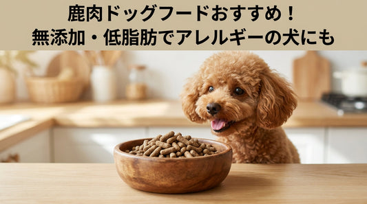 鹿肉ドッグフードおすすめ！無添加・低脂肪でアレルギーの犬にも