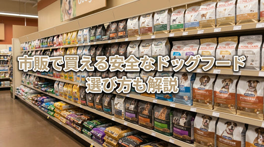 市販で買える安全なドッグフード 選び方も解説