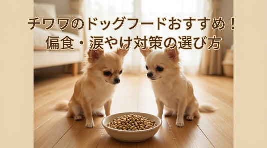 チワワのドッグフードおすすめ！偏食・涙やけ対策の選び方