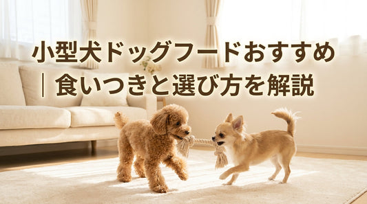 小型犬ドッグフードおすすめ｜食いつきと選び方を解説