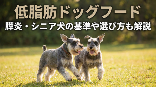 低脂肪ドッグフード 膵炎・シニア犬の基準や選び方も解説
