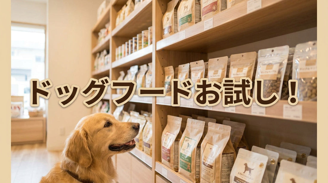 ドッグフードお試し！