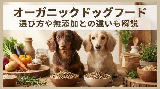 オーガニックドッグフード 選び方や無添加との違いも解説