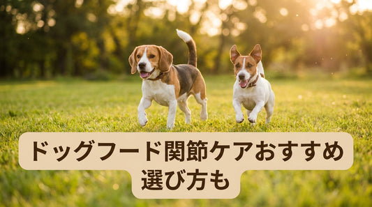 ドッグフード関節ケアおすすめ 選び方も