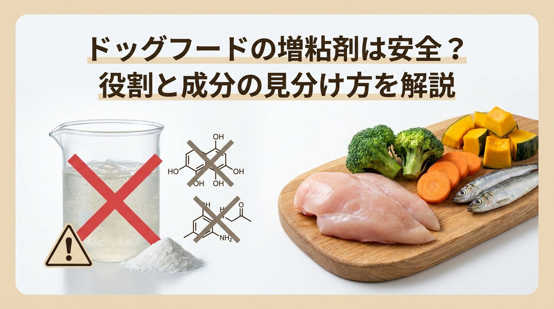 ドッグフードの増粘剤は安全？役割と成分の見分け方を解説
