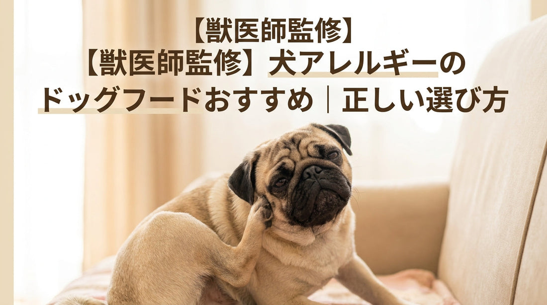 【獣医師監修】犬アレルギーのドッグフードおすすめ｜正しい選び方