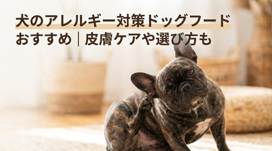 犬のアレルギー対策ドッグフードおすすめ｜皮膚ケアや選び方も