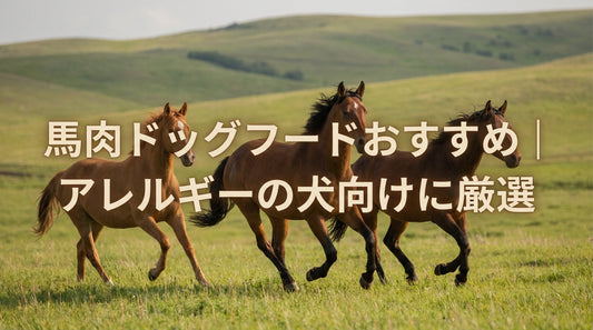 馬肉ドッグフードおすすめ｜アレルギーの犬向けに厳選