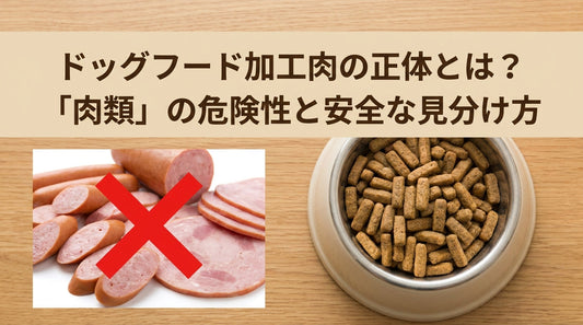 ドッグフード加工肉の正体とは？「肉類」の危険性と安全な見分け方