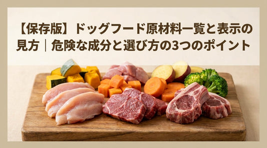 【保存版】ドッグフード原材料一覧と表示の見方｜危険な成分と選び方の3つのポイント