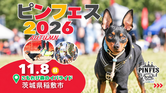 ピンフェス2026 AUTUMN meets こもれび森のイバライド