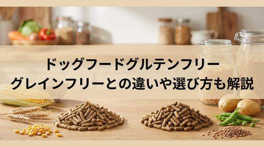 ドッグフードグルテンフリー グレインフリーとの違いや選び方も解説