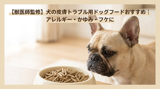 【獣医師監修】犬の皮膚トラブル用ドッグフードおすすめ｜アレルギー・かゆみ・フケに