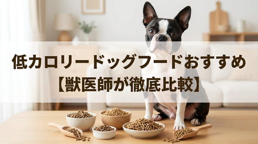 低カロリードッグフードおすすめ【獣医師が徹底比較】