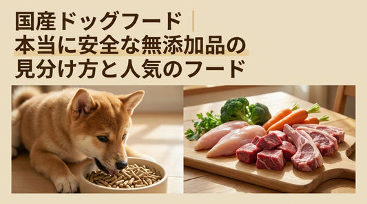 国産ドッグフード｜本当に安全な無添加品の見分け方と人気のフード