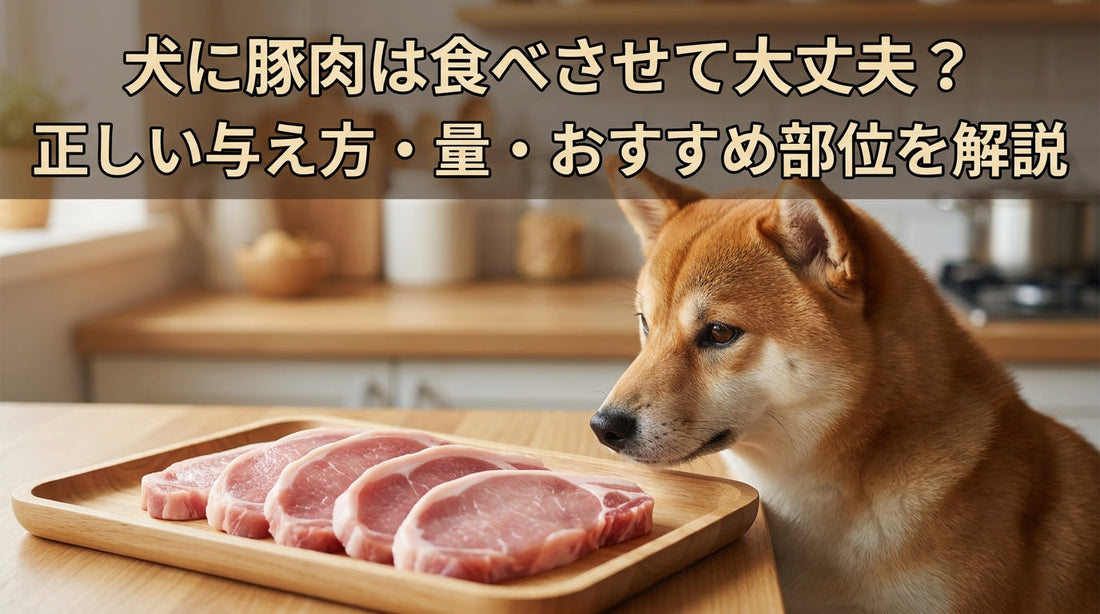 犬に豚肉は食べさせて大丈夫？正しい与え方・量・おすすめ部位を解説