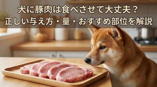犬に豚肉は食べさせて大丈夫？正しい与え方・量・おすすめ部位を解説