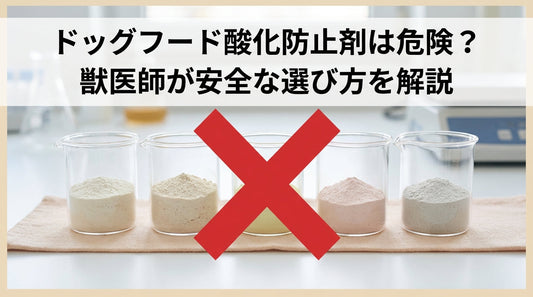 ドッグフード酸化防止剤は危険？獣医師が安全な選び方を解説