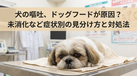 犬の嘔吐、ドッグフードが原因？未消化など症状別の見分け方と対処法