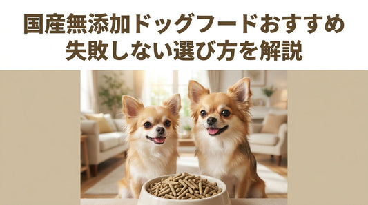 国産無添加ドッグフードおすすめ 失敗しない選び方を解説