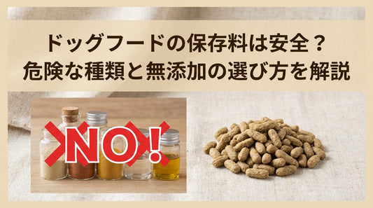 ドッグフードの保存料は安全？危険な種類と無添加の選び方を解説