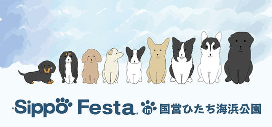 Sippo Festa in 国営ひたち海浜公園