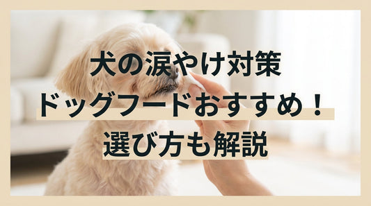 犬の涙やけ対策ドッグフードおすすめ！選び方も解説