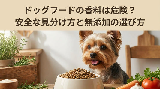 ドッグフードの香料は危険？安全な見分け方と無添加の選び方