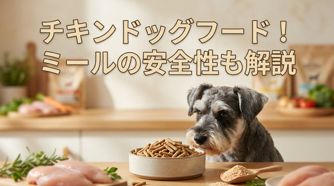 チキンドッグフード！ミールの安全性も解説