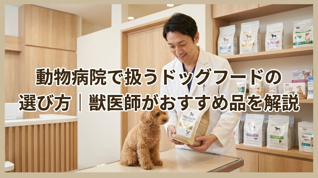 動物病院で扱うドッグフードの選び方｜獣医師がおすすめ品を解説